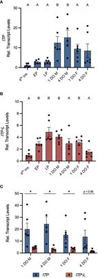 Molecular characterization, localization, and physiological roles of ITP and ITP-L in the mosquito, Aedes aegypti